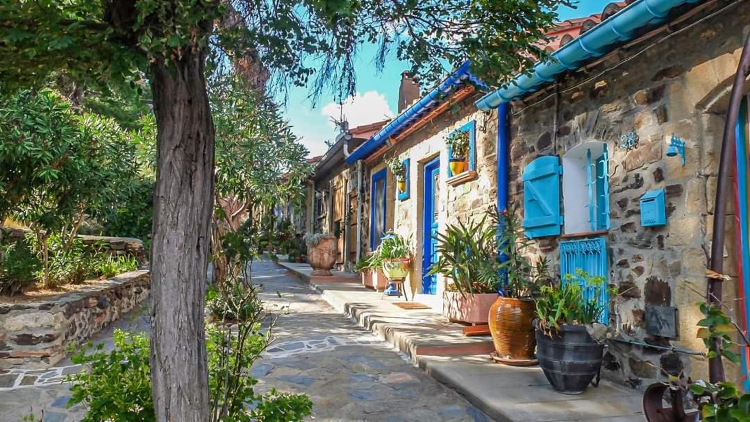 Maison Sur La Roche, Vue Mer Exceptionnelle, Parking Prive, Quartier Historique, Calme Villa Collioure Eksteriør bilde