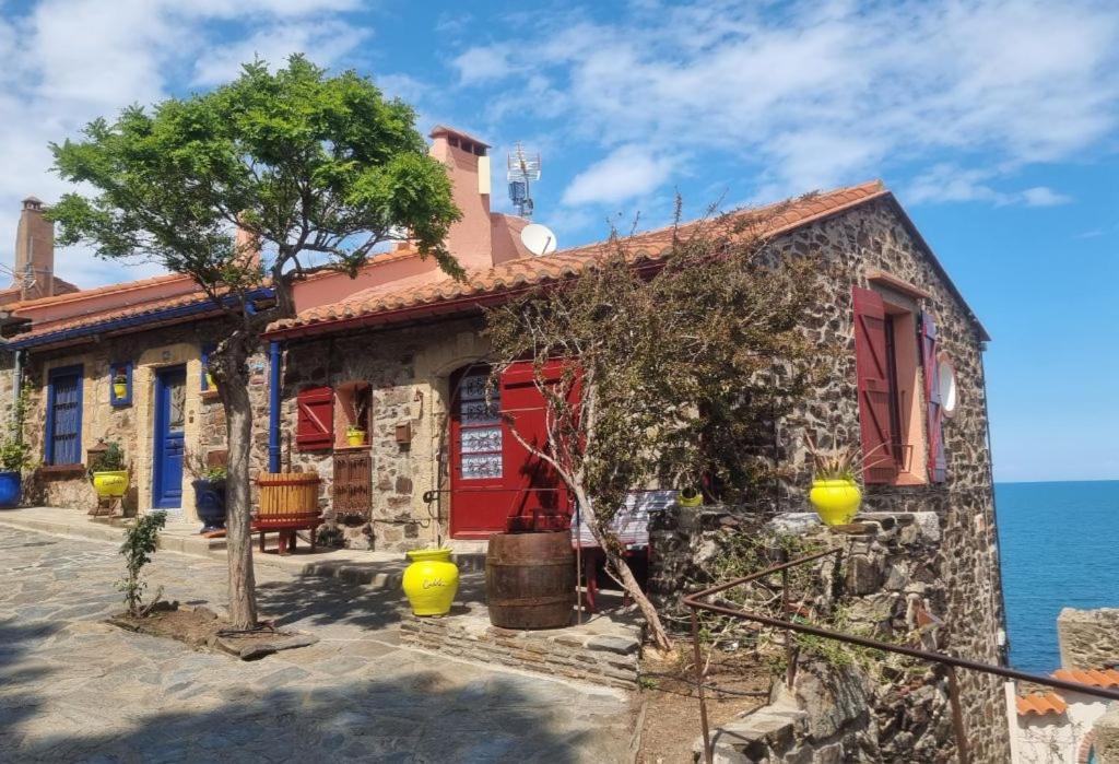 Maison Sur La Roche, Vue Mer Exceptionnelle, Parking Prive, Quartier Historique, Calme Villa Collioure Eksteriør bilde